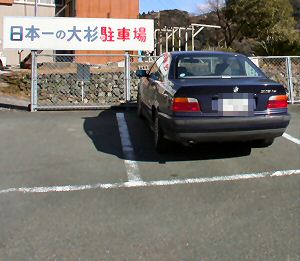 日本一の大杉駐車場